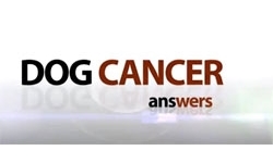 Common Dog Cancers